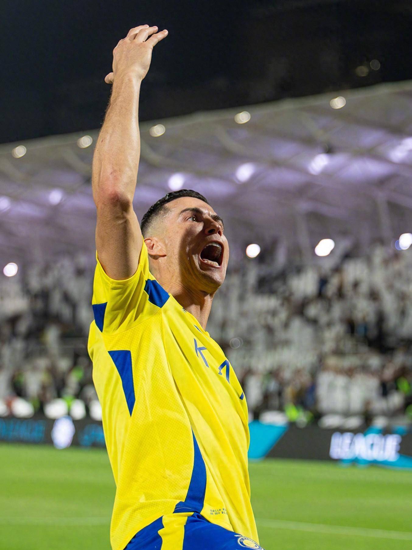 手林浩斐以 手林浩斐以