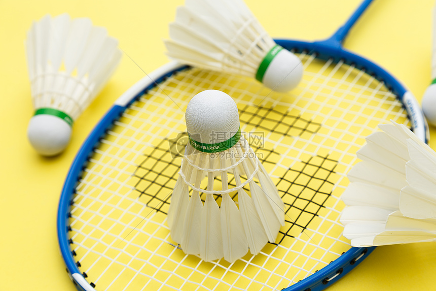 法愈发了解 法愈发了解